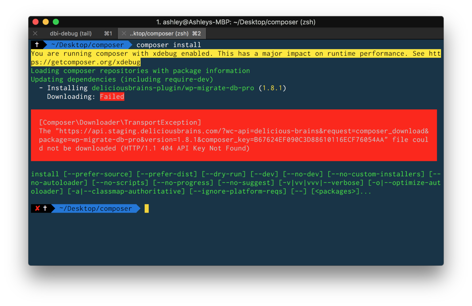 Composer install fail
