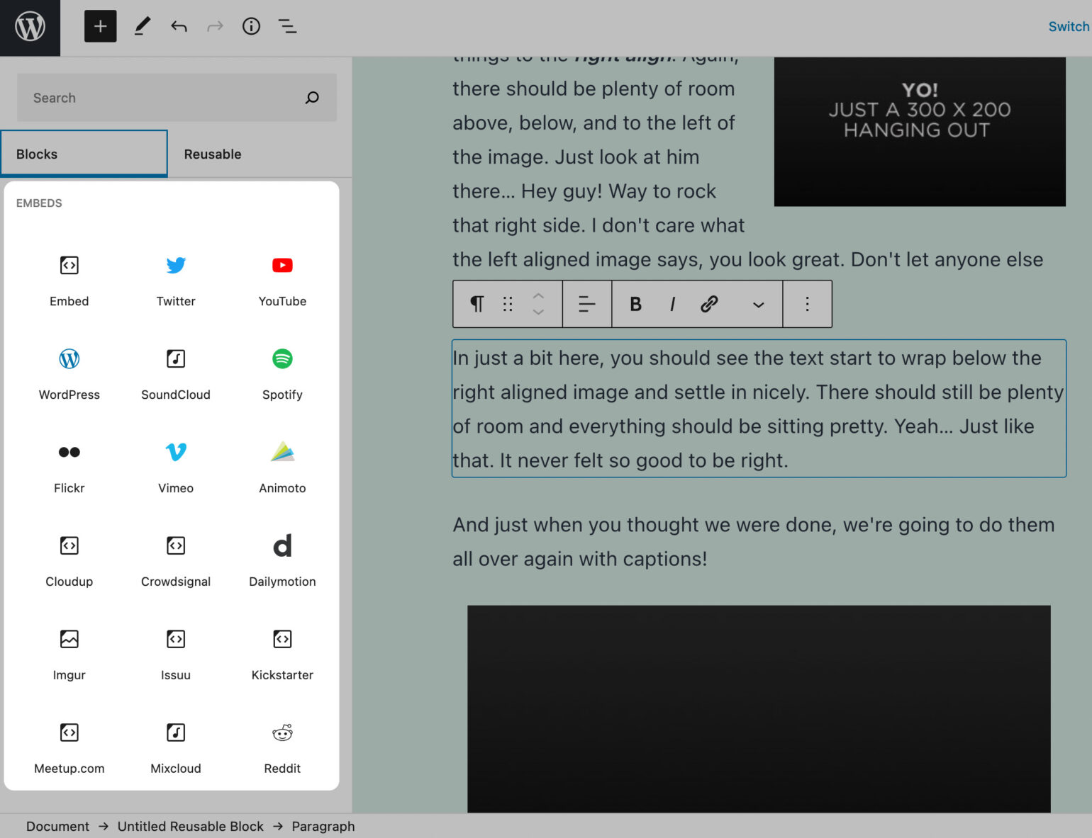 The list of embed Blocks within WordPress