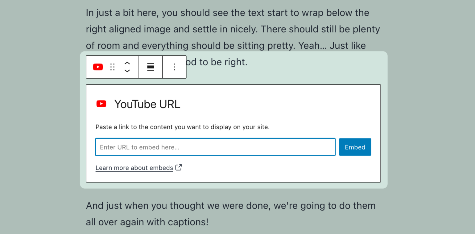 Embedding a YouTube video
