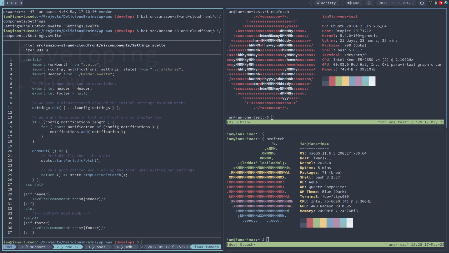 tmux resized alongside other windows with zoomed pane.