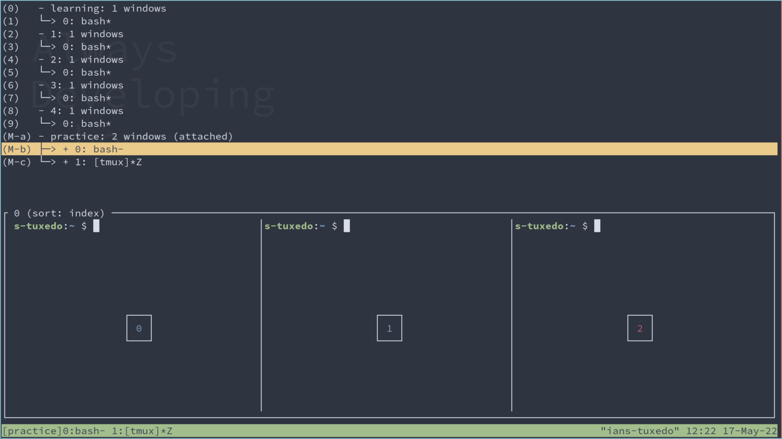 The list of open windows in tmux.